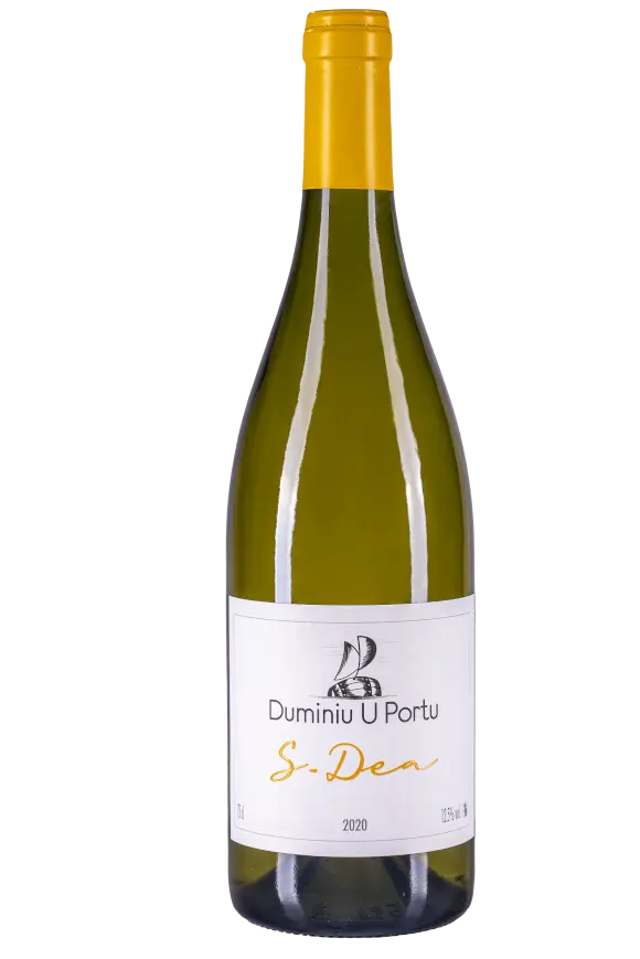 S-DEA Blanc 2024